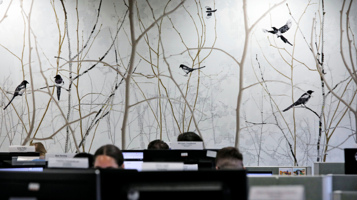 A view of staff working at their computers, in front of wallpaper showing trees and birds