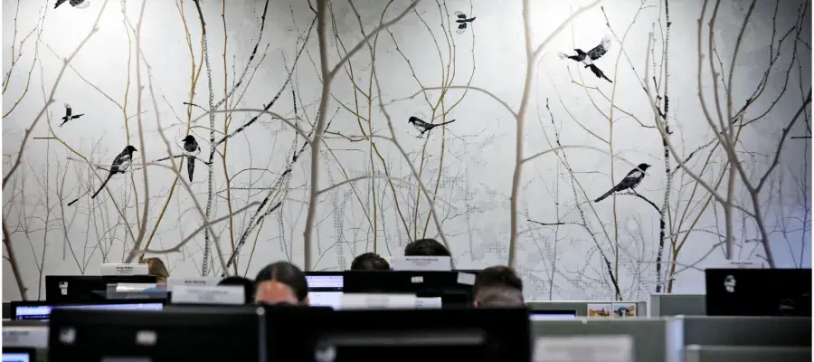 A view of staff working at their computers, in front of wallpaper showing trees and birds